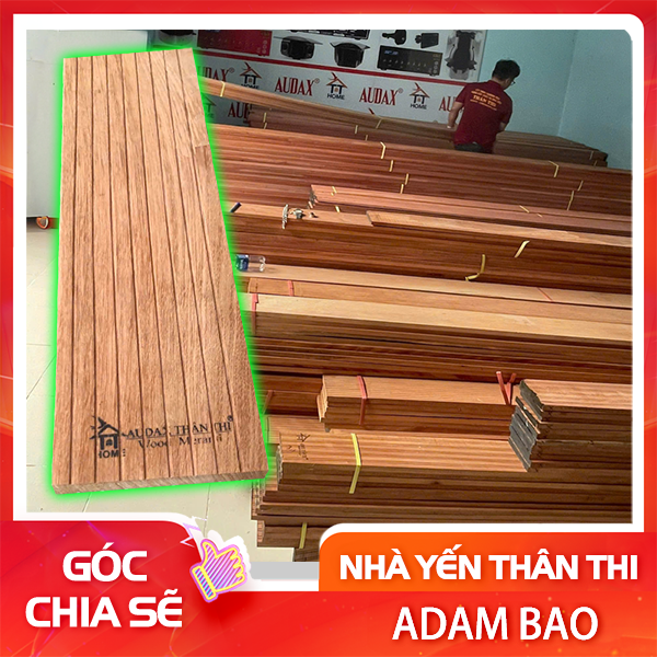 Gỗ Meranti "chọn mặt gửi vàng" trong ngành nuôi yến