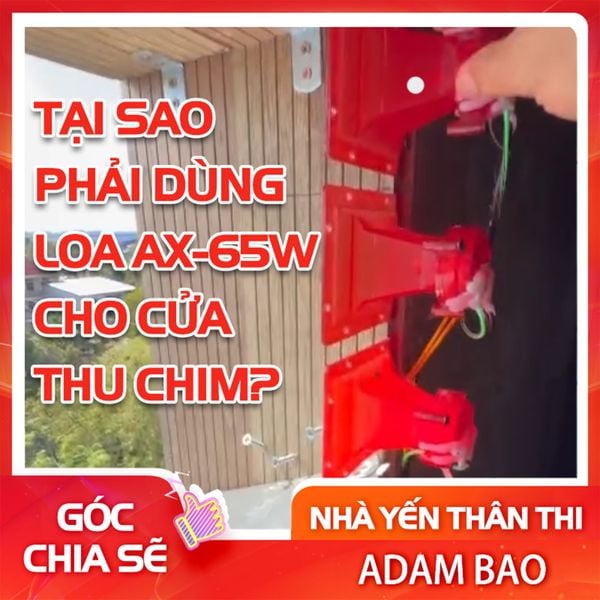 Tại sao phải dùng loa AX-65W cho cửa thu chim?