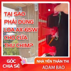 Tại sao phải dùng loa AX-65W cho cửa thu chim?