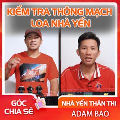 KIỂM TRA THÔNG MẠCH LOA NHÀ YẾN