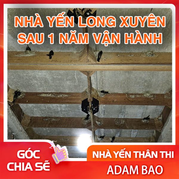 CÔNG TRÌNH NHÀ YẾN KHÁCH HÀNG TẠI LONG XUYÊN SAU 1 NĂM VẬN HÀNH
