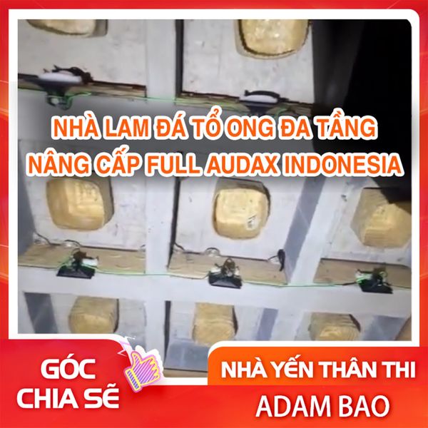NHÀ LAM ĐÁ TỔ ONG ĐA TẦNG  SAU KHI NÂNG CẤP FULL AUDAX INDONESIA