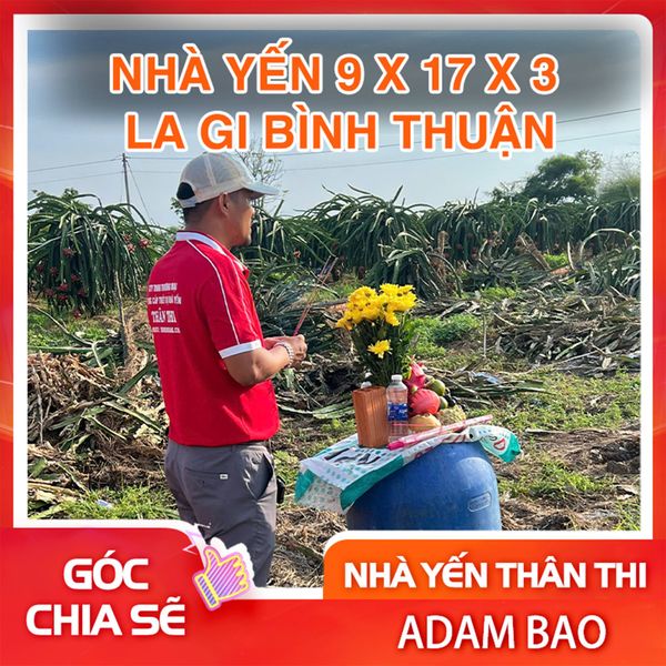 NHÀ YẾN 9x17x3 TẠI LA GI, BÌNH THUẬN