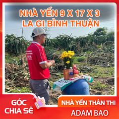 NHÀ YẾN 9x17x3 TẠI LA GI, BÌNH THUẬN
