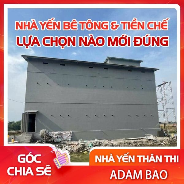 nhà yến bê tông cốt thép và nhà yến sàn giả tiền chế ?