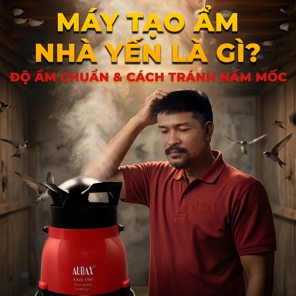 Máy Tạo Ẩm Nhà Yến Là Gì? Độ Ẩm Chuẩn & Cách Tránh Nấm Mốc