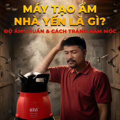 Máy Tạo Ẩm Nhà Yến Là Gì? Độ Ẩm Chuẩn & Cách Tránh Nấm Mốc