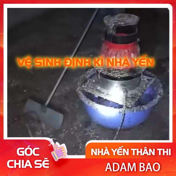 Lý do cần phải vệ sinh định kỳ nhà yến làm lam tổ ong đa tầng là vì những yếu tố sau