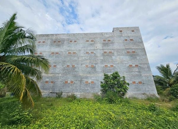 Hình ảnh bài viết