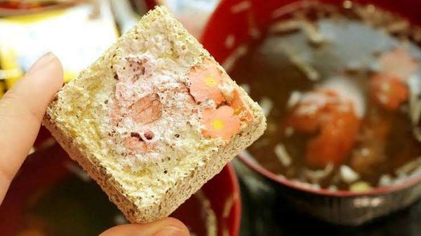 Canh Sấy Thăng Hoa Là Gì? Giải Mã Công Nghệ Giữ Trọn Dinh Dưỡng Thực Tế