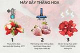 Sấy Thăng Hoa Là Gì? Xu Hướng Bảo Quản Thực Phẩm Giữ Trọn Dinh Dưỡng