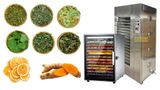 Sấy Thăng Hoa Và Sấy Khô: Công Nghệ Nào Giữ Trọn Dinh Dưỡng Thực Phẩm?