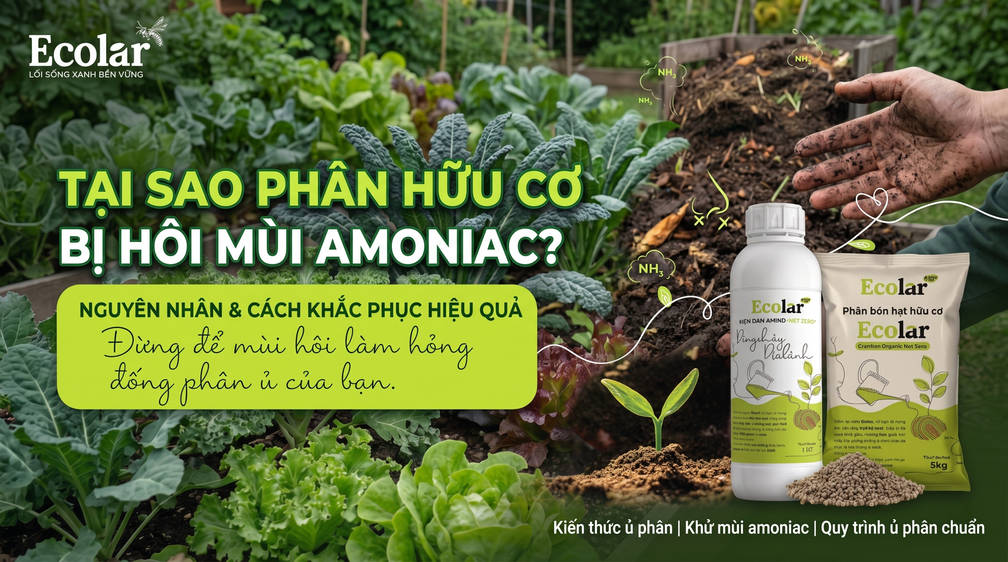 Phân hữu cơ bị hôi phải làm sao? (Mùi amoniac & thiếu carbon — Chẩn đoán và xử lý nhanh)