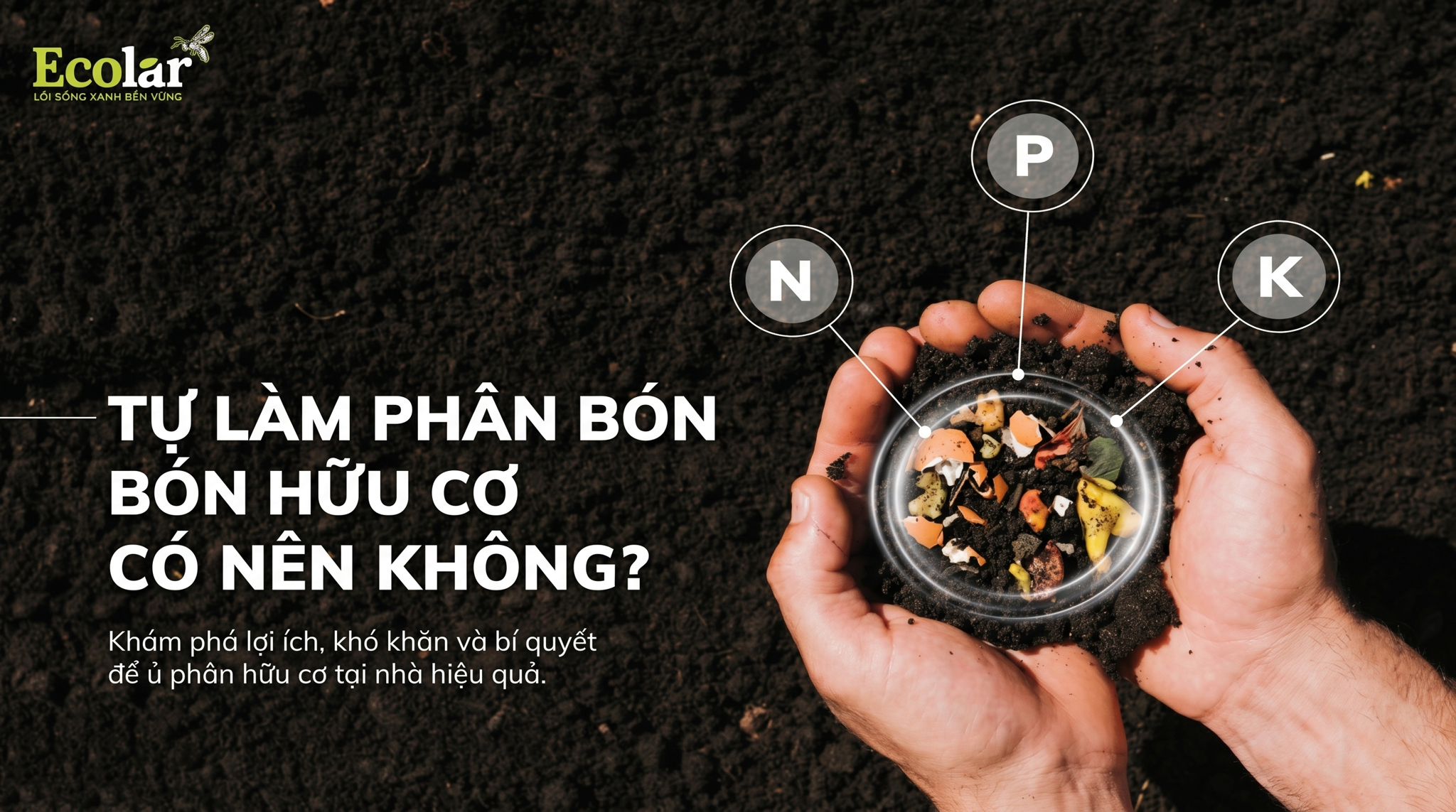 Có nên tự làm phân bón hữu cơ lâu dài không? (Đánh giá lợi - hại & khung quyết định thực tế)