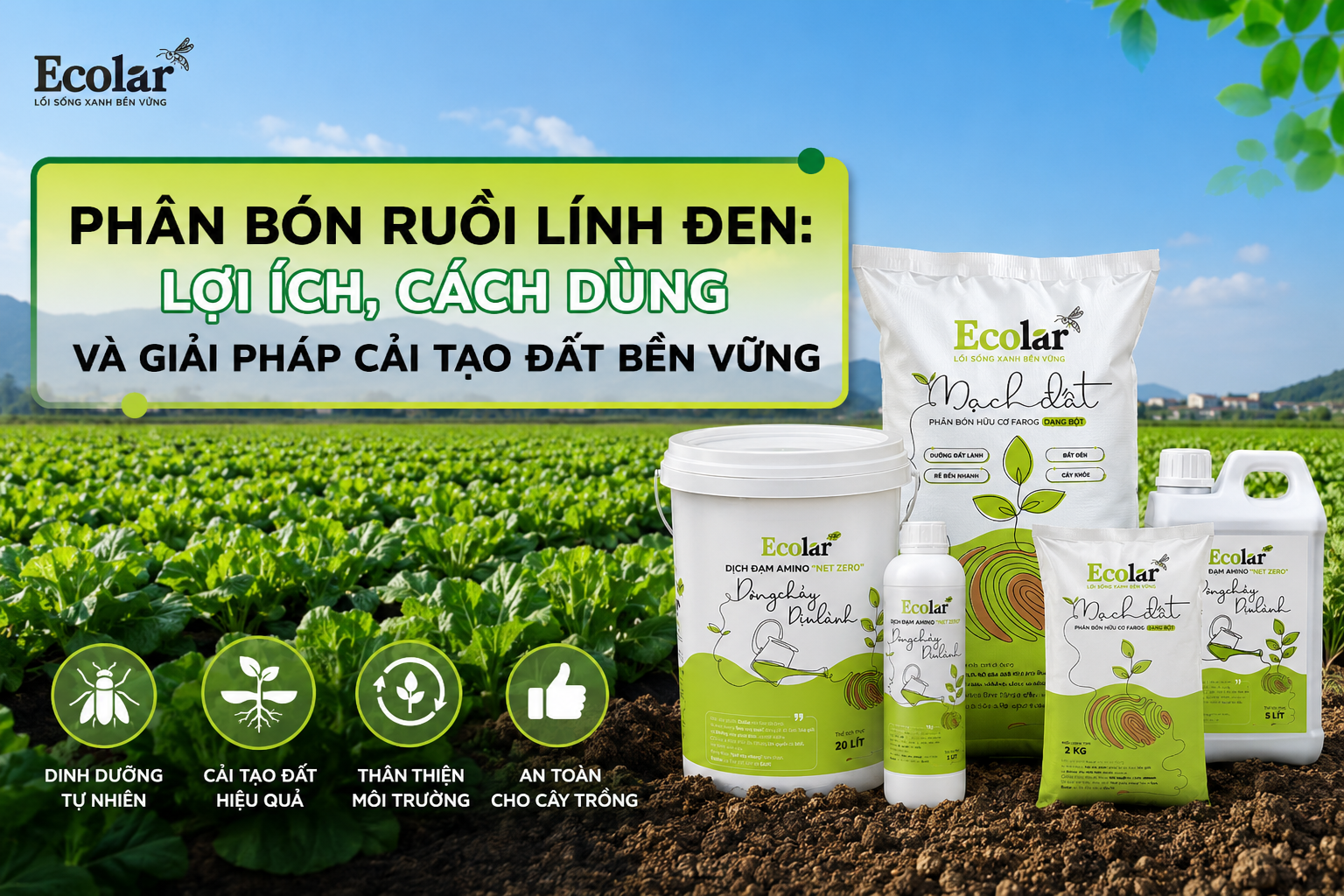 Phân Bón Hữu Cơ Ruồi Lính Đen: Lợi Ích, Cách Dùng Và Giải Pháp Cải Tạo Đất Bền Vững