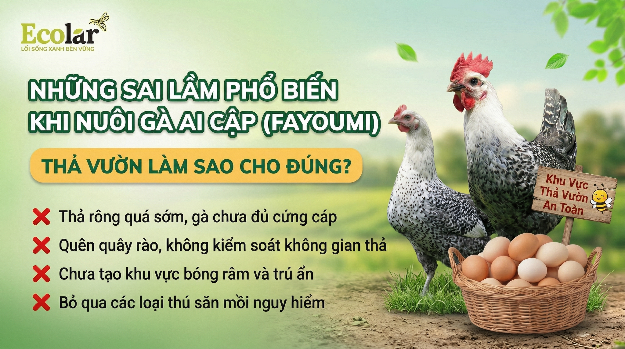 5 Sai Lầm Chết Người Khi Nuôi Gà Ai Cập Thả Vườn (Và Cách Khắc Phục Ngay Lập Tức)