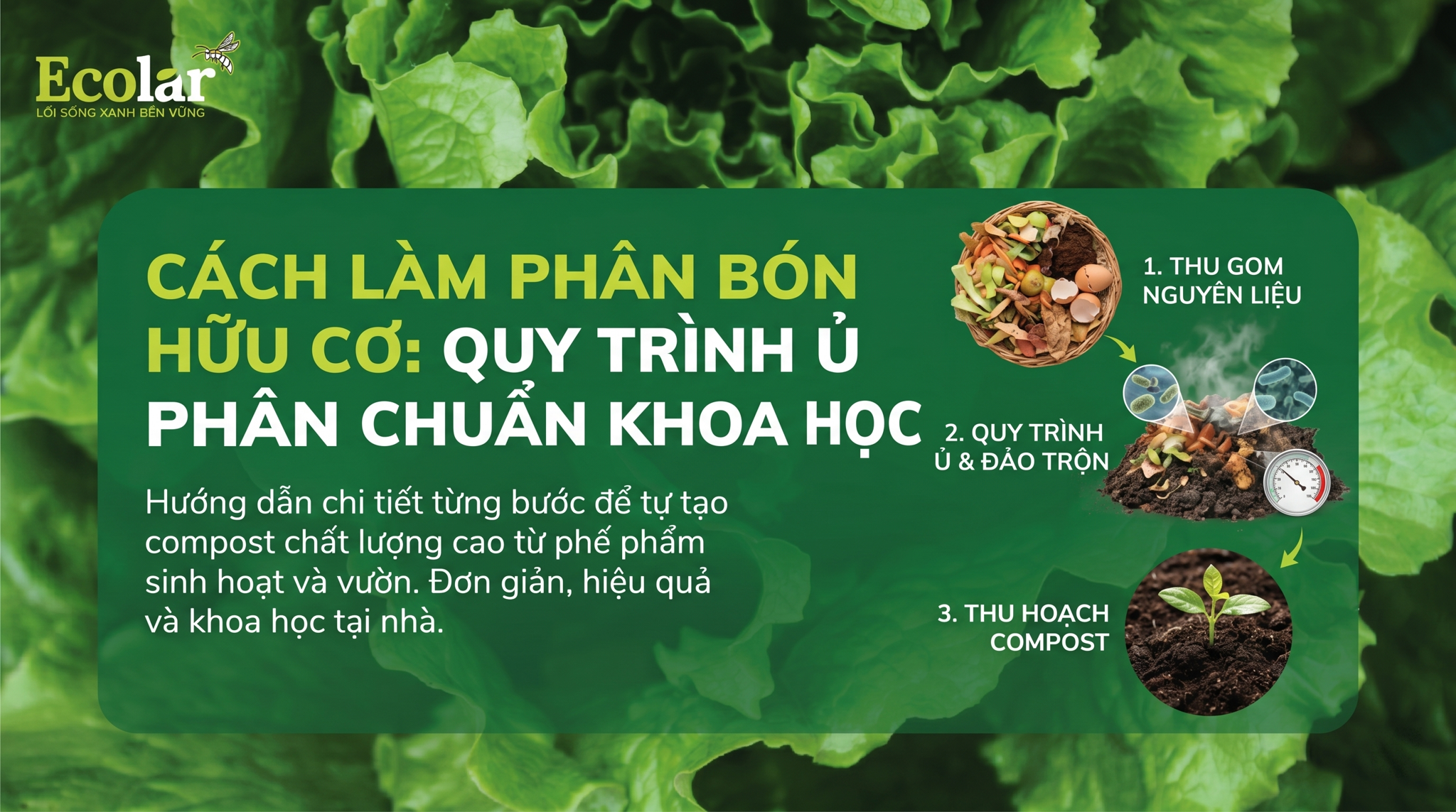 Quy trình ủ phân bón hữu cơ chuẩn khoa học: hướng dẫn chuyên sâu (C:N, Mesophilic, Thermophilic, Humus)