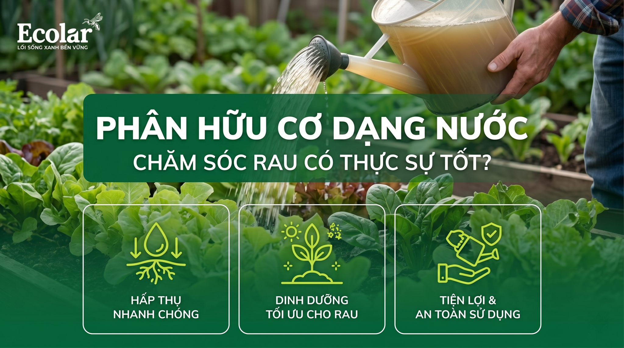 Phân Hữu Cơ Dạng Nước Cho Rau Có Tốt Không? Phân Tích Từ A-Z Cho Người Làm Vườn