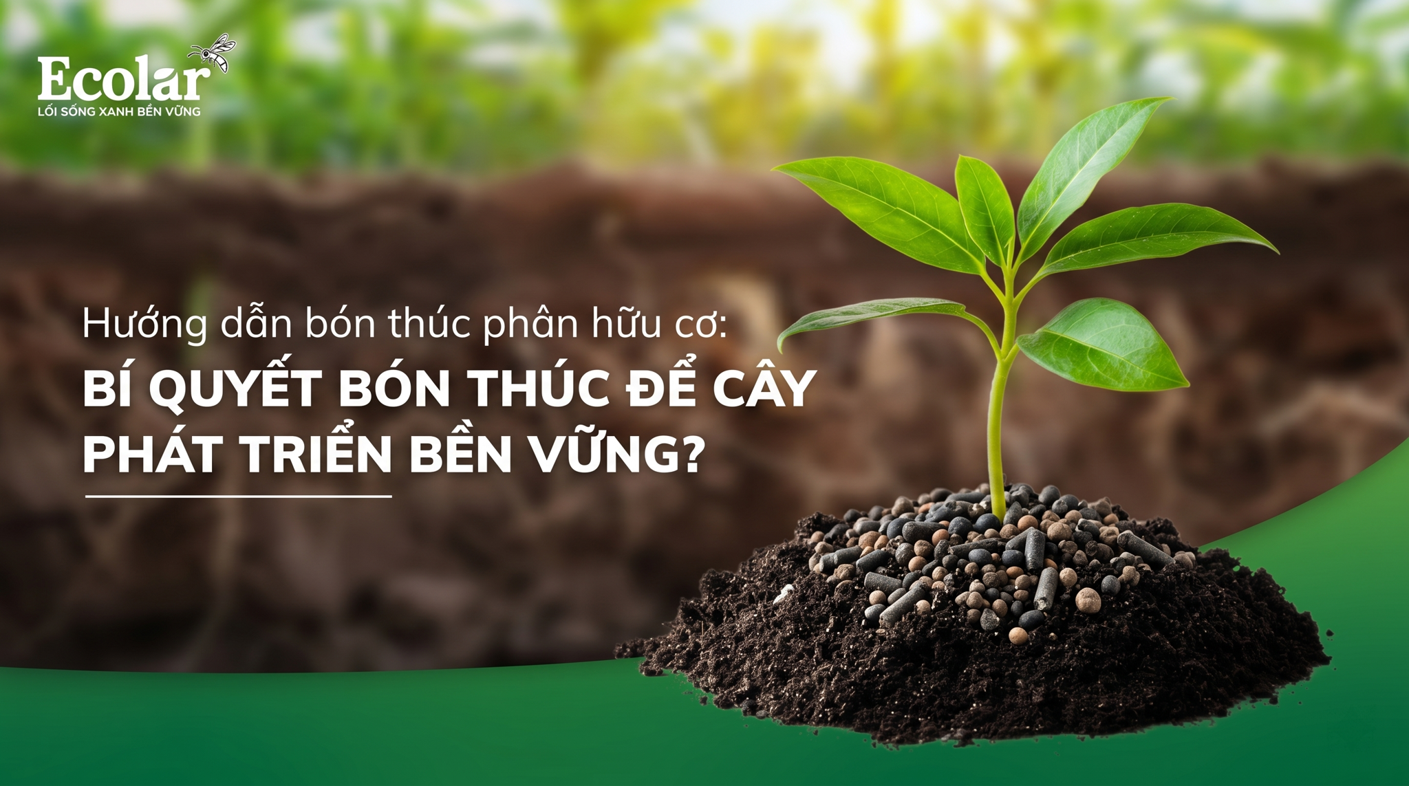 Bón thúc bằng phân hữu cơ như thế nào cho hiệu quả: Quy trình thực hành, kỹ thuật và checklist