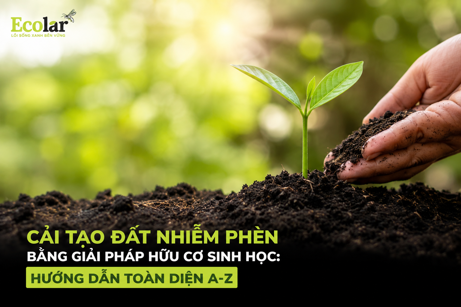 Cải Tạo Đất Nhiễm Phèn Bằng Giải Pháp Hữu Cơ Sinh Học: Hướng Dẫn Toàn Diện A-Z