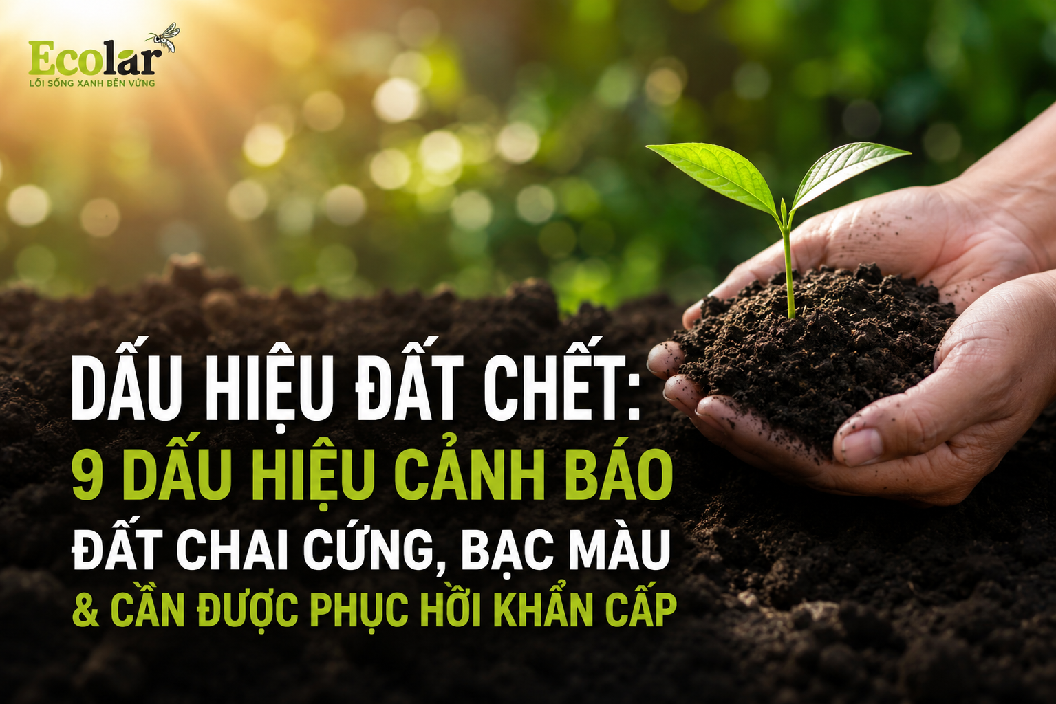 Dấu Hiệu Đất Chết: 9 Dấu Hiệu Cảnh Báo Đất Chai Cứng, Bạc Màu & Cần Được Phục Hồi Khẩn Cấp