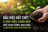 Dấu Hiệu Đất Chết: 9 Dấu Hiệu Cảnh Báo Đất Chai Cứng, Bạc Màu & Cần Được Phục Hồi Khẩn Cấp