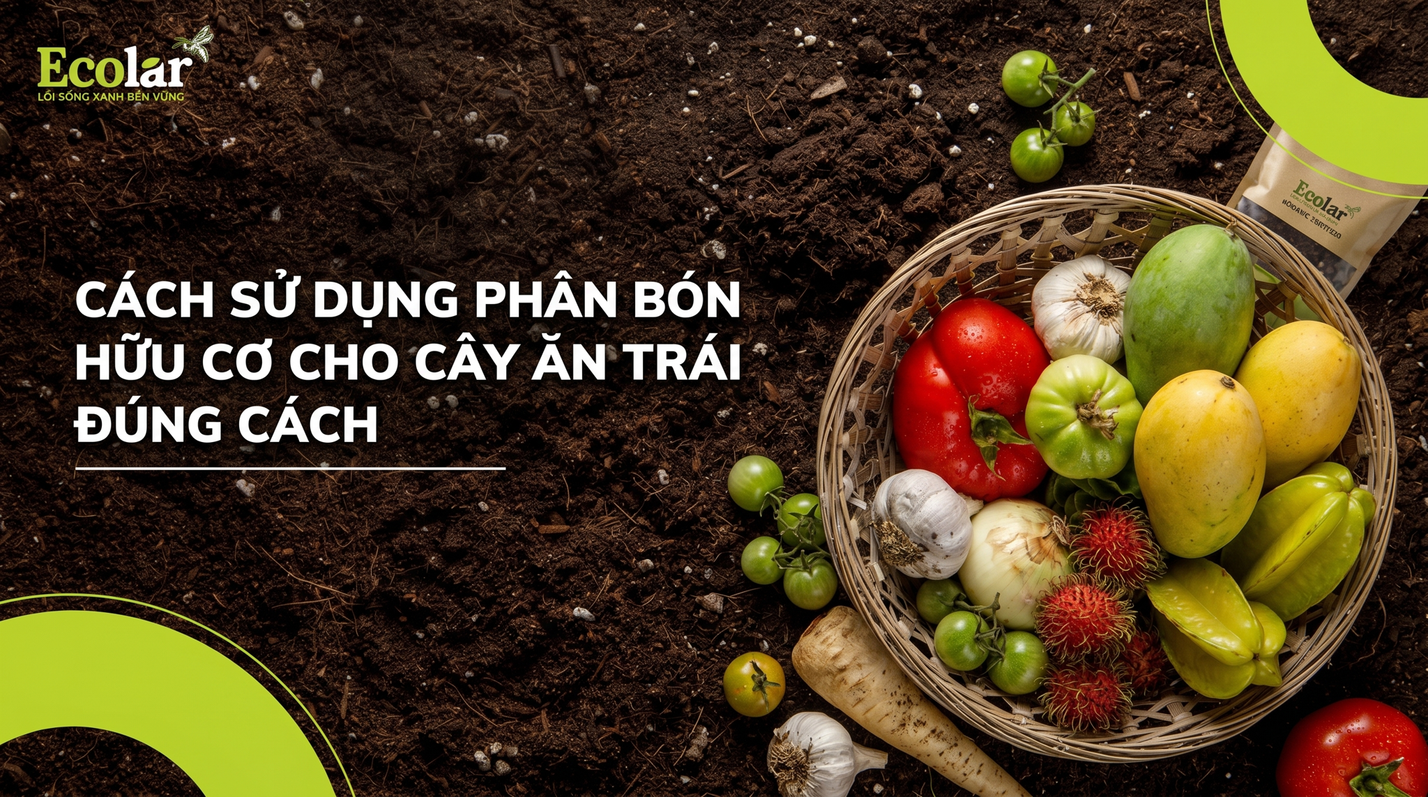 Cách sử dụng phân hữu cơ cho cây ăn trái — Hướng dẫn thực hành an toàn và đúng nguyên tắc