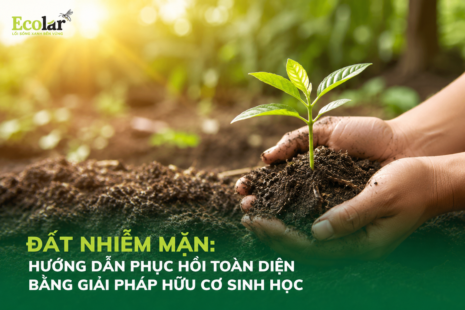Đất Nhiễm Mặn: Hướng Dẫn Phục Hồi Toàn Diện Bằng Giải Pháp Hữu Cơ Sinh Học