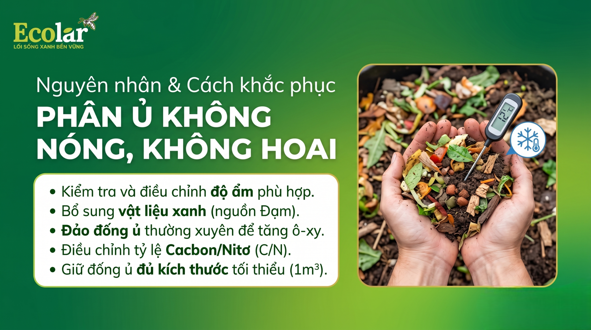 Vì sao phân ủ không hoai, không nóng? Nguyên nhân (vi sinh yếu, thiếu N, thiếu ẩm) và cách khắc phục nhanh