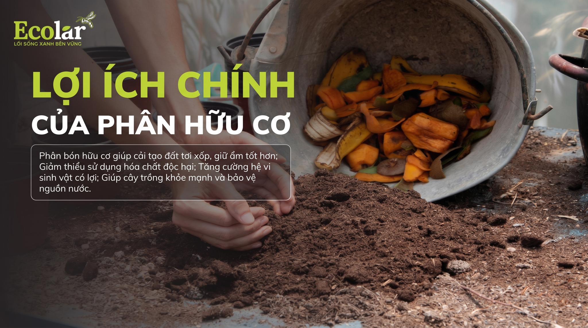 Lợi ích của phân bón hữu cơ đối với môi trường — 8 lợi ích thực tế và cách đo lường