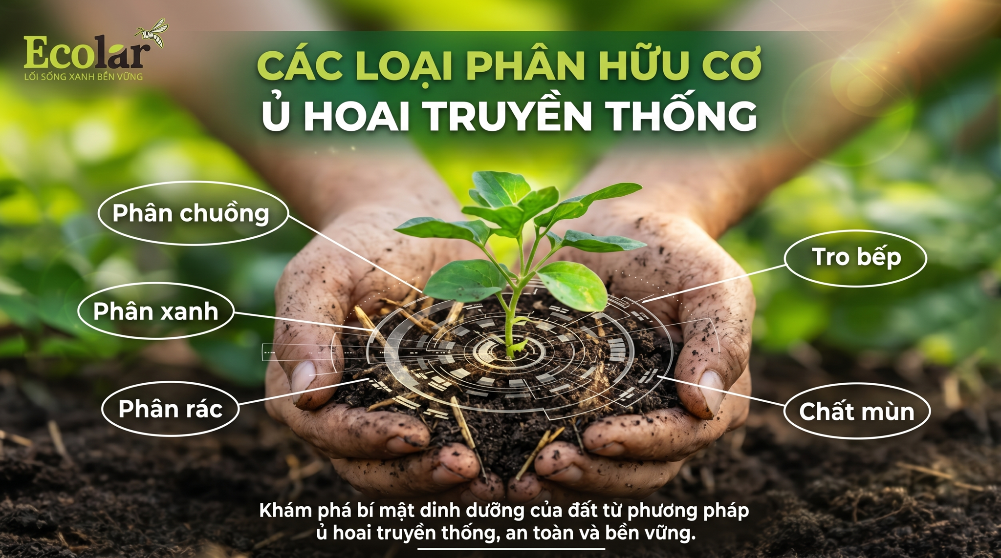 Các loại phân hữu cơ ủ hoai truyền thống: phân loại, nhận diện và lựa chọn nhanh