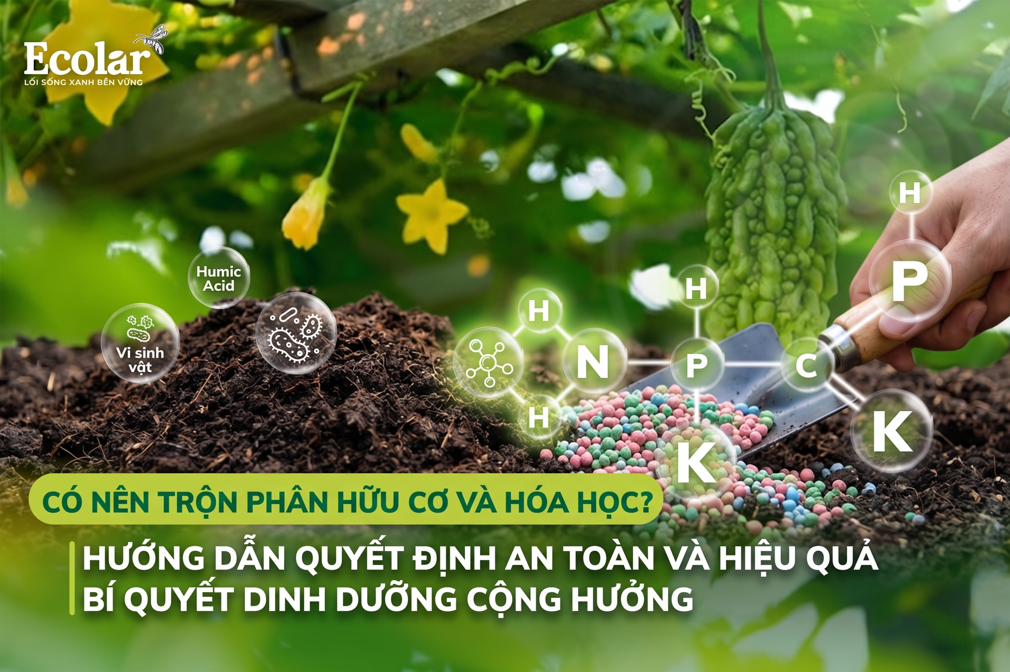 Có nên trộn phân hữu cơ với phân hóa học? Hướng dẫn quyết định an toàn và hiệu quả