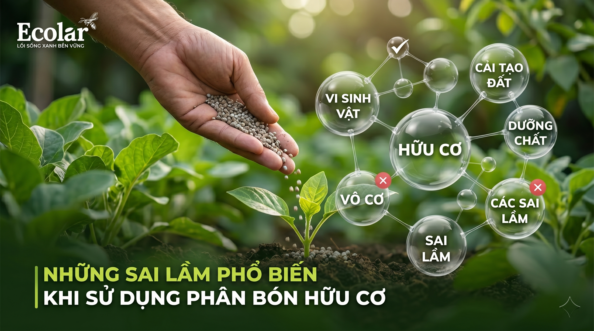 Những sai lầm phổ biến khi sử dụng phân bón hữu cơ và cách nhận biết trước khi dùng