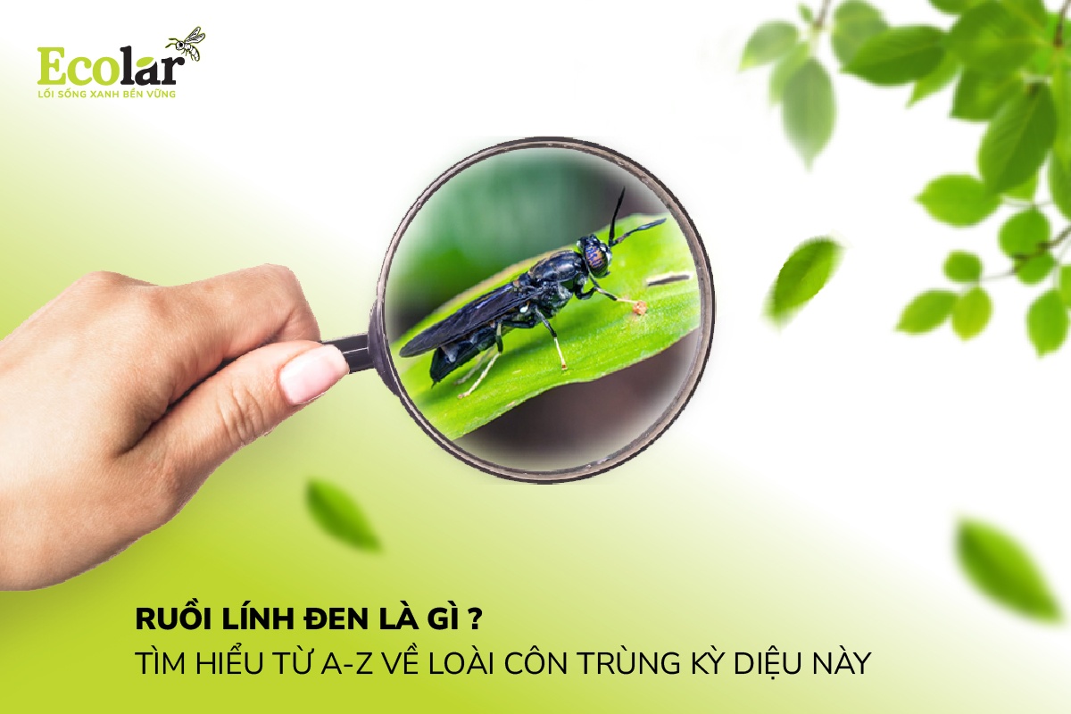 -ruoi-linh-den-la-gi-tim-hieu-tu-a-z-ve-loai-con-trung-ky-dieu-nay-100_d9d7abbc95cb4591b000de82cdfa83af.jpg