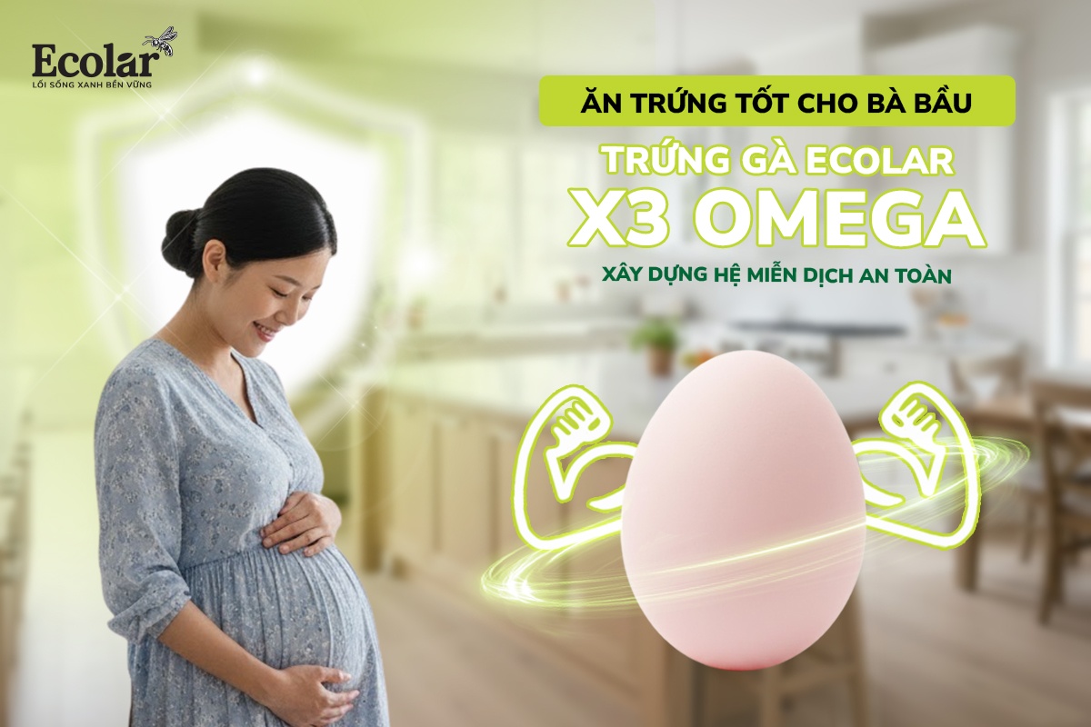 Ăn Trứng Tốt Cho Bà Bầu: Trứng Gà Ecolar X3 Omega, Xây Dựng Hệ Miễn Dịch An Toàn