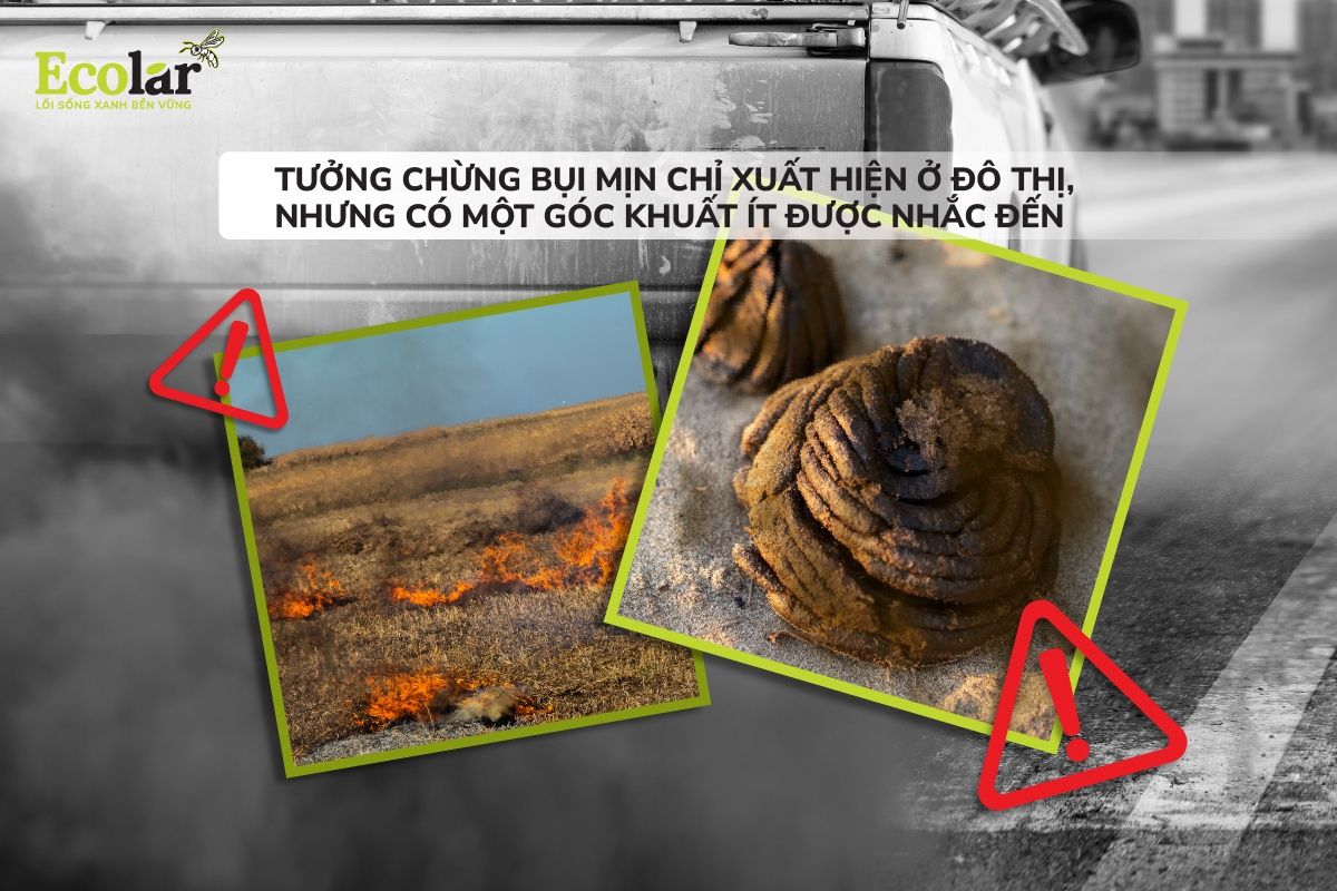 Ứng Dụng BSFly Trong Giảm Thiểu Bụi Mịn Từ Vùng Sản Xuất Nông Nghiệp