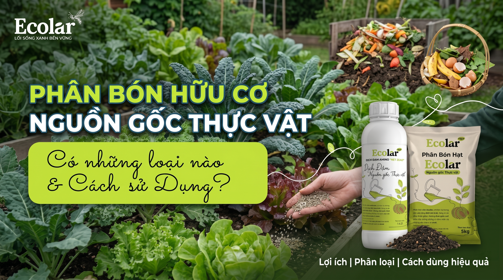 Phân bón hữu cơ nguồn gốc thực vật: Phân xanh, Compost thực vật, Bã đậu và Bã cà phê — Hướng dẫn tập trung, thực tế