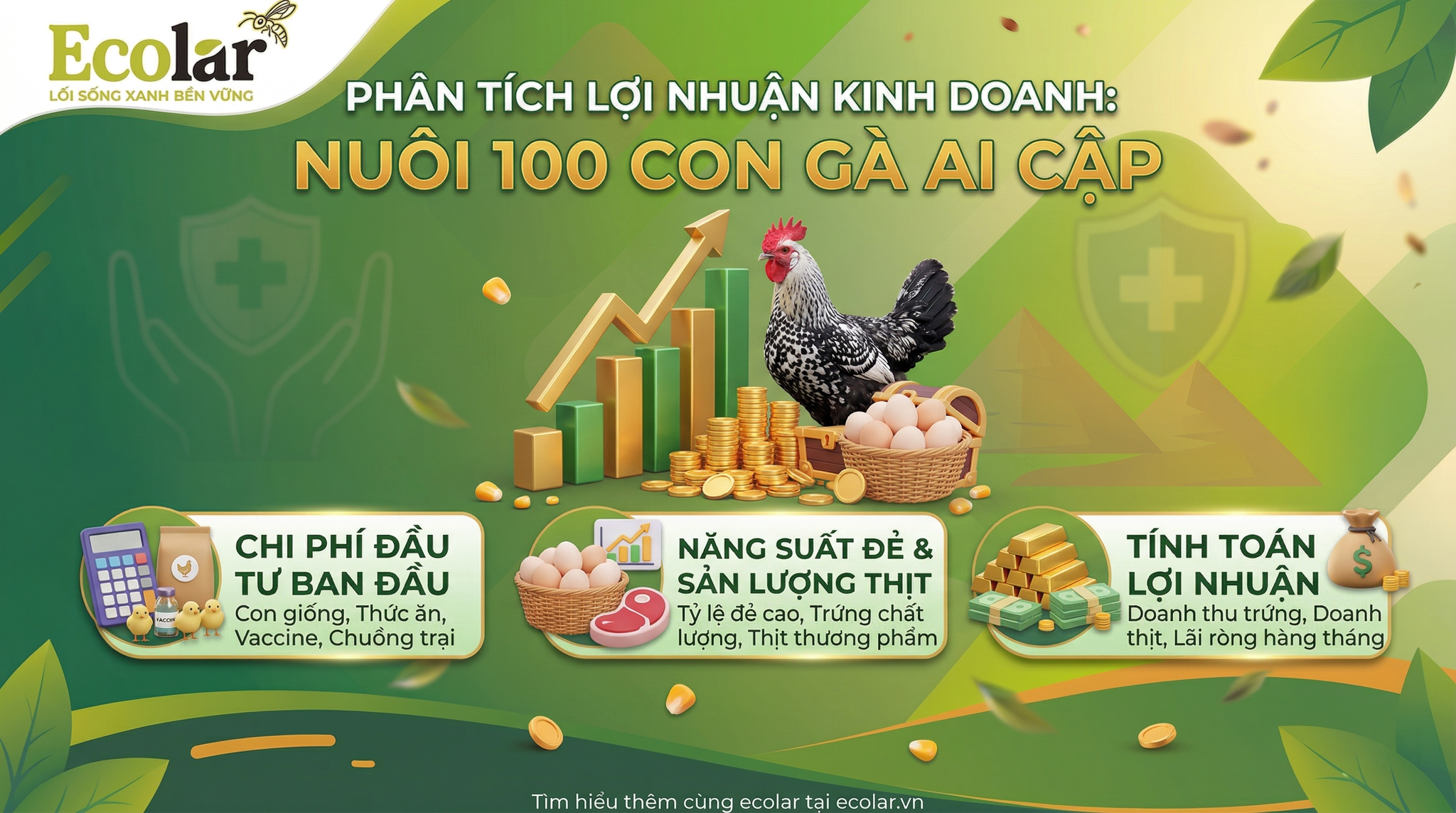 Nuôi 100 Con Gà Ai Cập Lãi Bao Nhiêu? Bảng Tính Chi Phí Và Doanh Thu Thực Tế