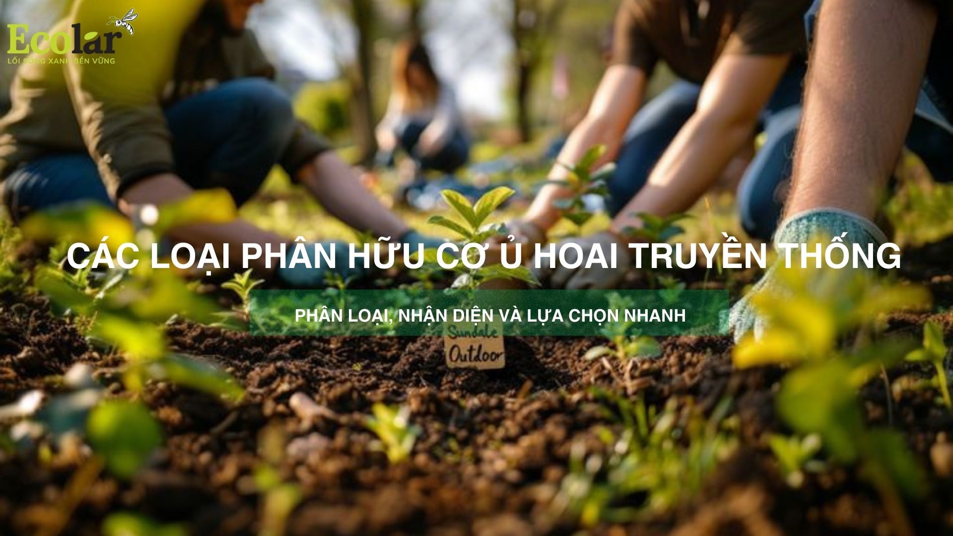 Các loại phân hữu cơ ủ hoai truyền thống: phân loại, nhận diện và lựa chọn nhanh