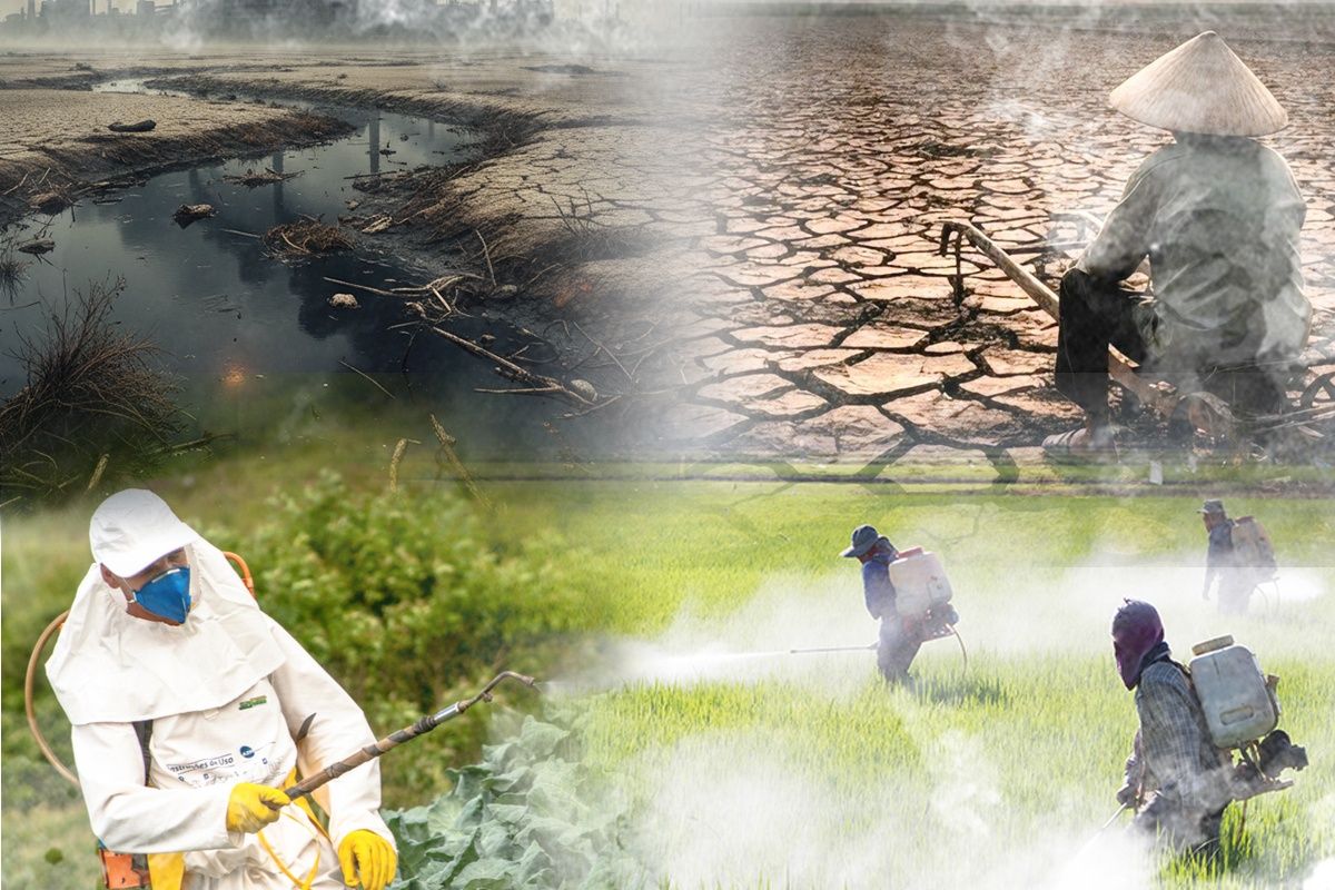 Phân Bón Giảm Phát Thải: Mở Lối Cho Nông Nghiệp Bền Vững