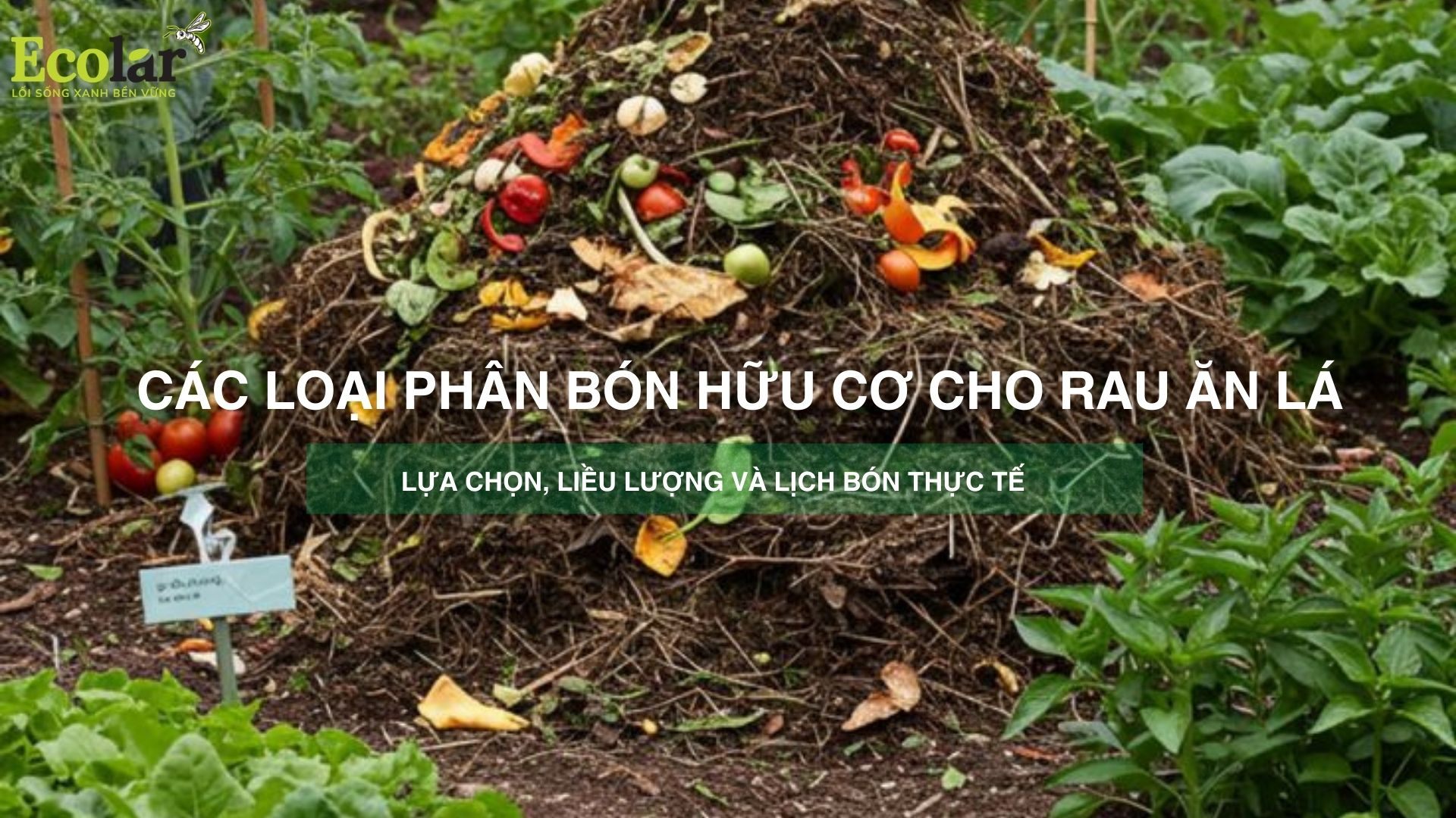 Các loại phân bón hữu cơ cho rau ăn lá: lựa chọn, liều lượng và lịch bón thực tế