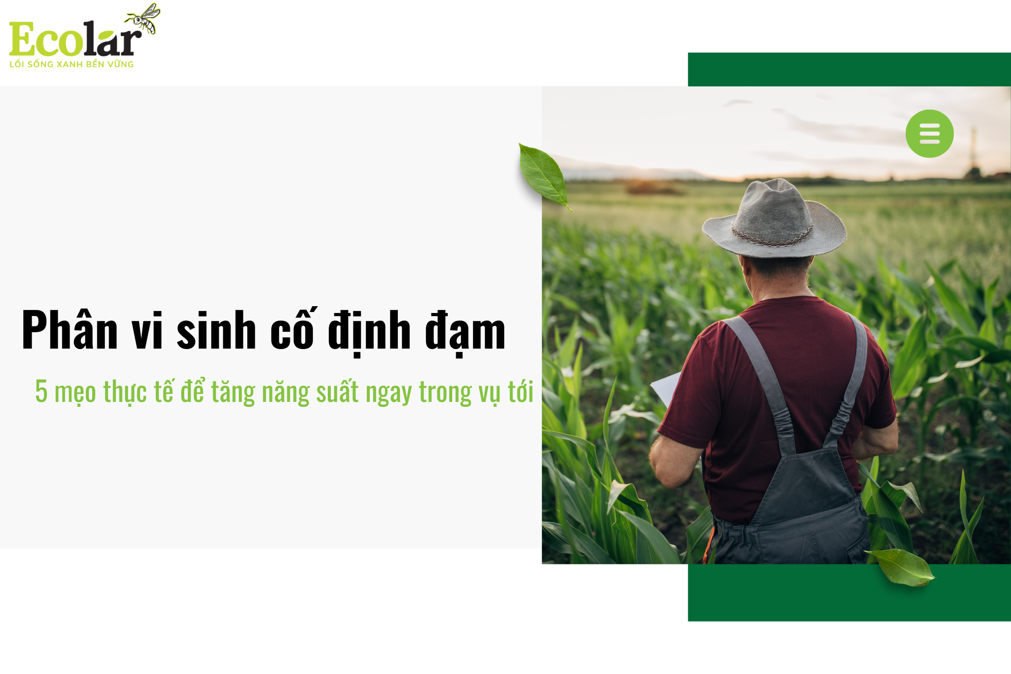 Phân vi sinh cố định đạm: 5 mẹo thực tế để tăng năng suất ngay trong vụ tới