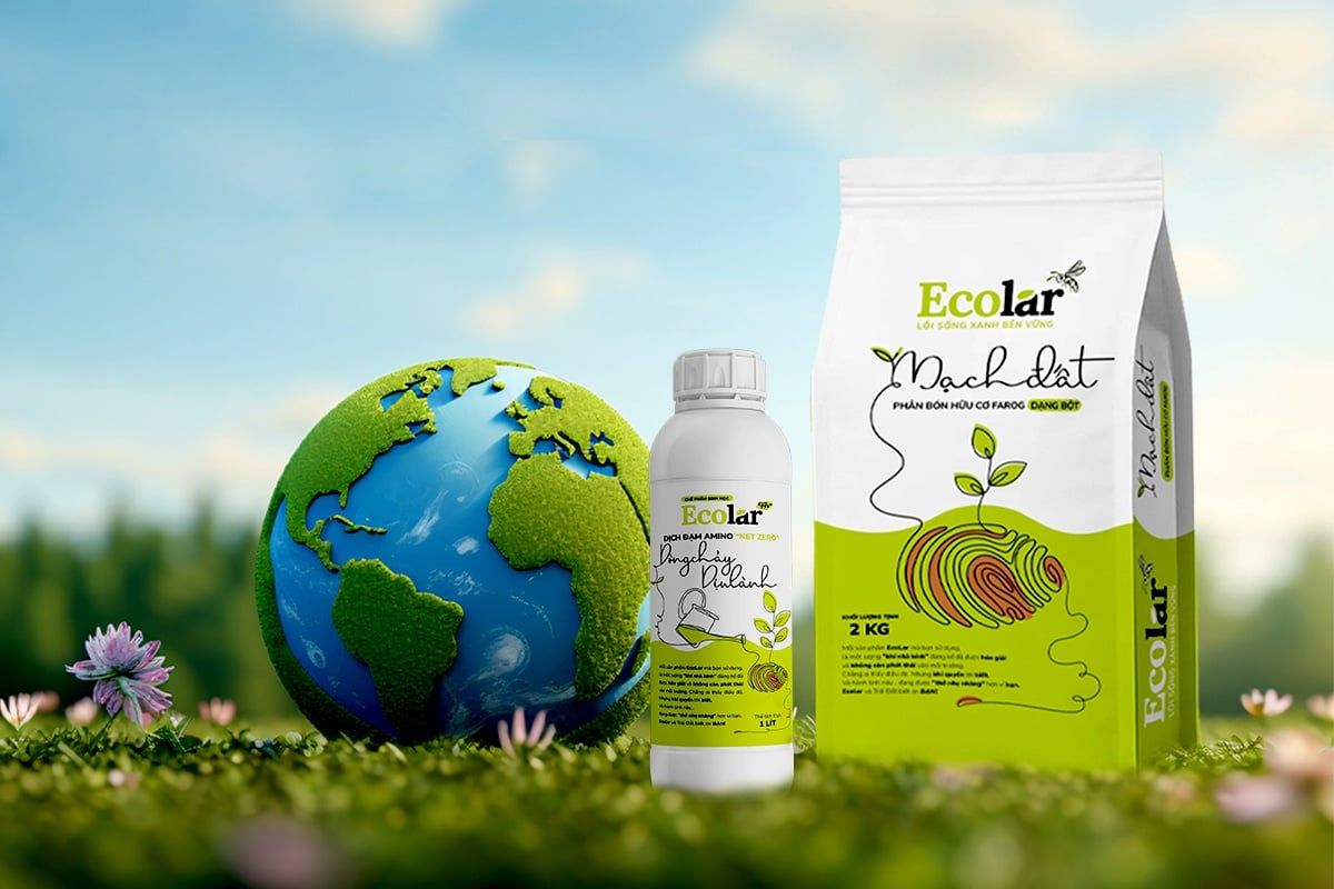 Phân Bón Giảm Phát Thải: Mở Lối Cho Nông Nghiệp Bền Vững