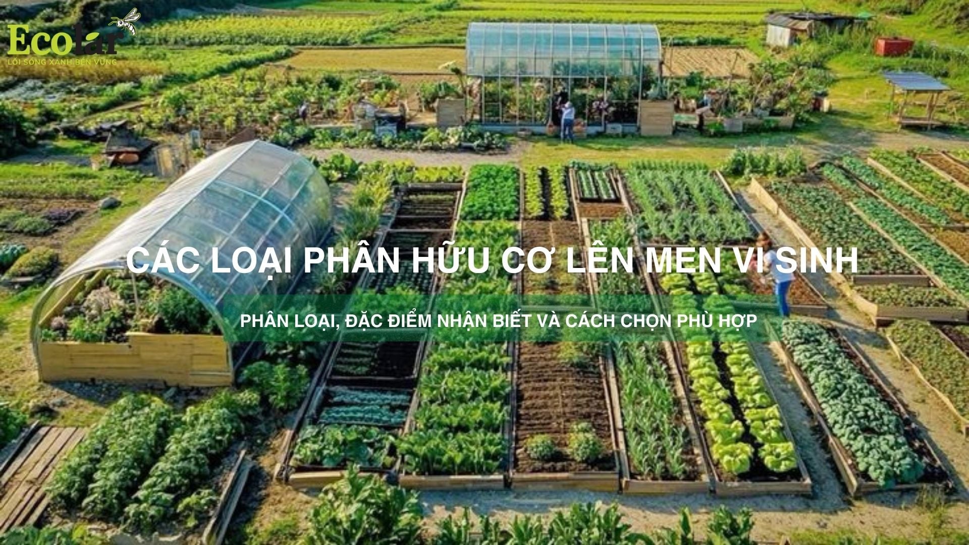 Các loại phân hữu cơ lên men vi sinh: phân loại, đặc điểm nhận biết và cách chọn phù hợp