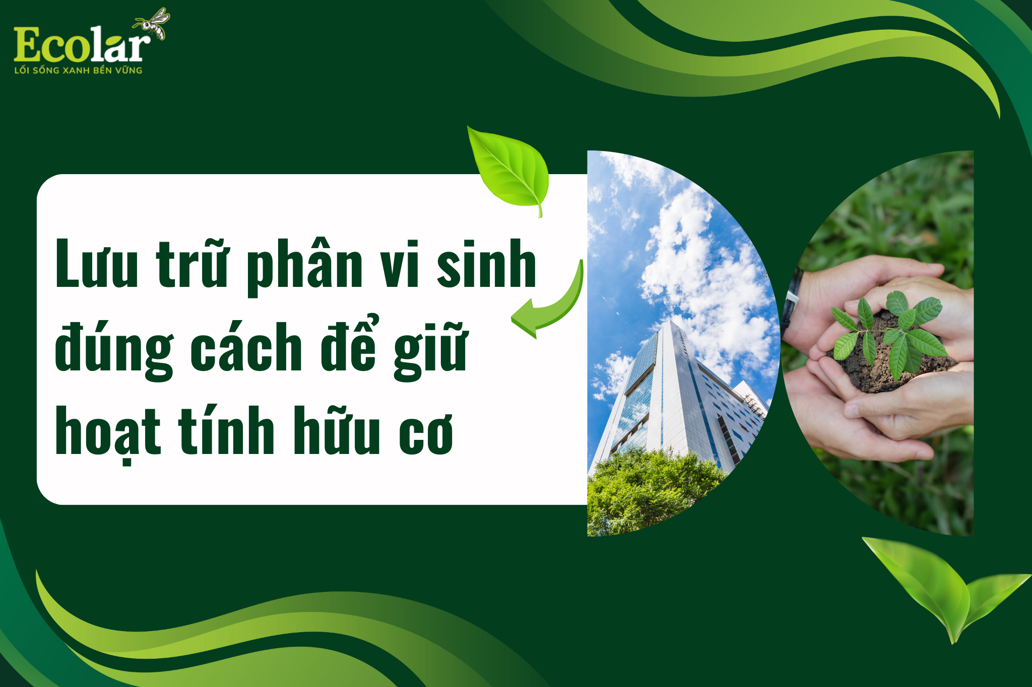Lưu trữ phân vi sinh đúng cách để giữ hoạt tính hữu cơ