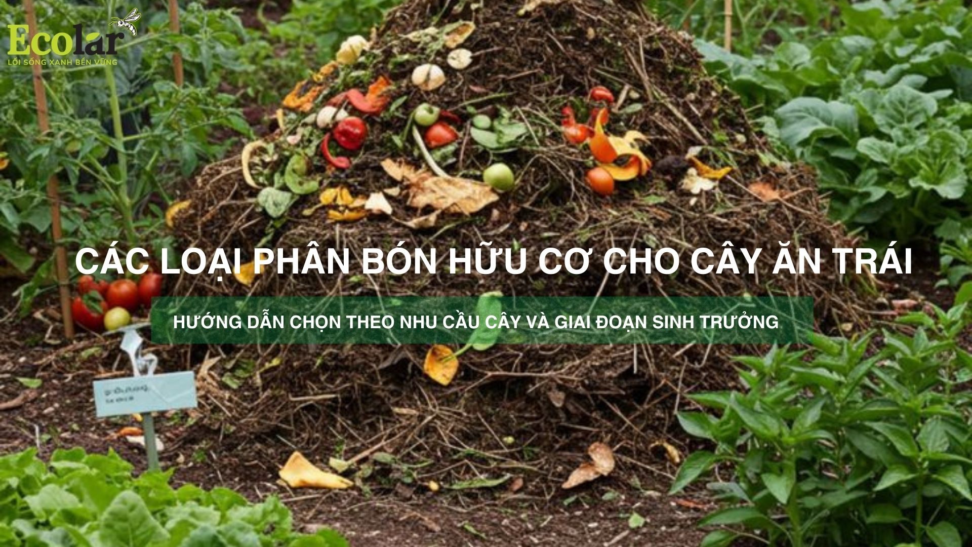 Các loại phân bón hữu cơ cho cây ăn trái — Hướng dẫn chọn theo nhu cầu cây và giai đoạn sinh trưởng