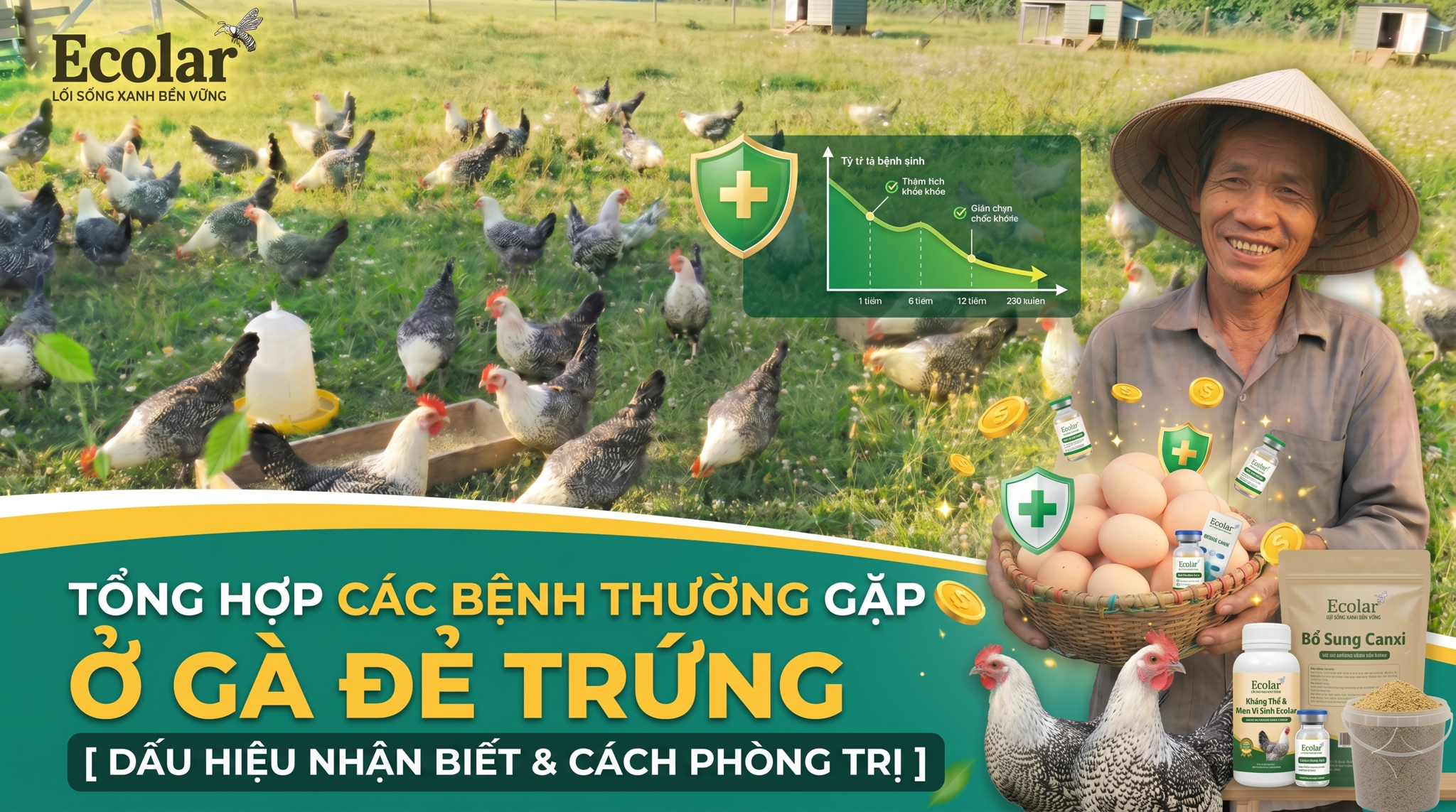 5 Bệnh Thường Gặp Ở Gà Đẻ Trứng Và Cách Nhận Biết Sớm