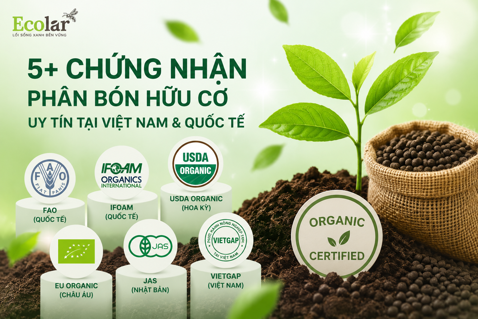 5+ Chứng Nhận Phân Bón Hữu Cơ Uy Tín Tại Việt Nam & Quốc Tế