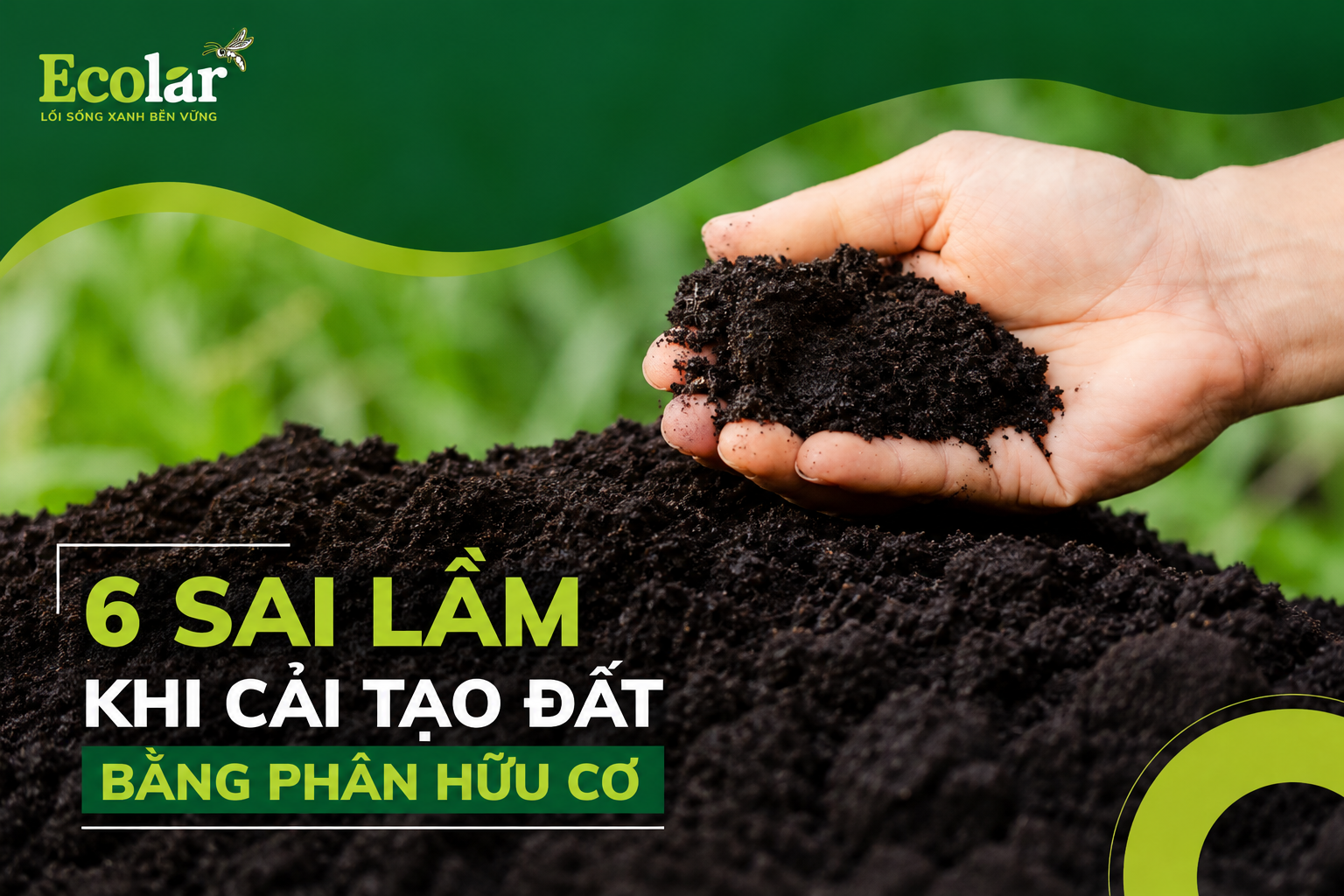 6 Sai Lầm Khi Cải Tạo Đất Bằng Phân Hữu Cơ