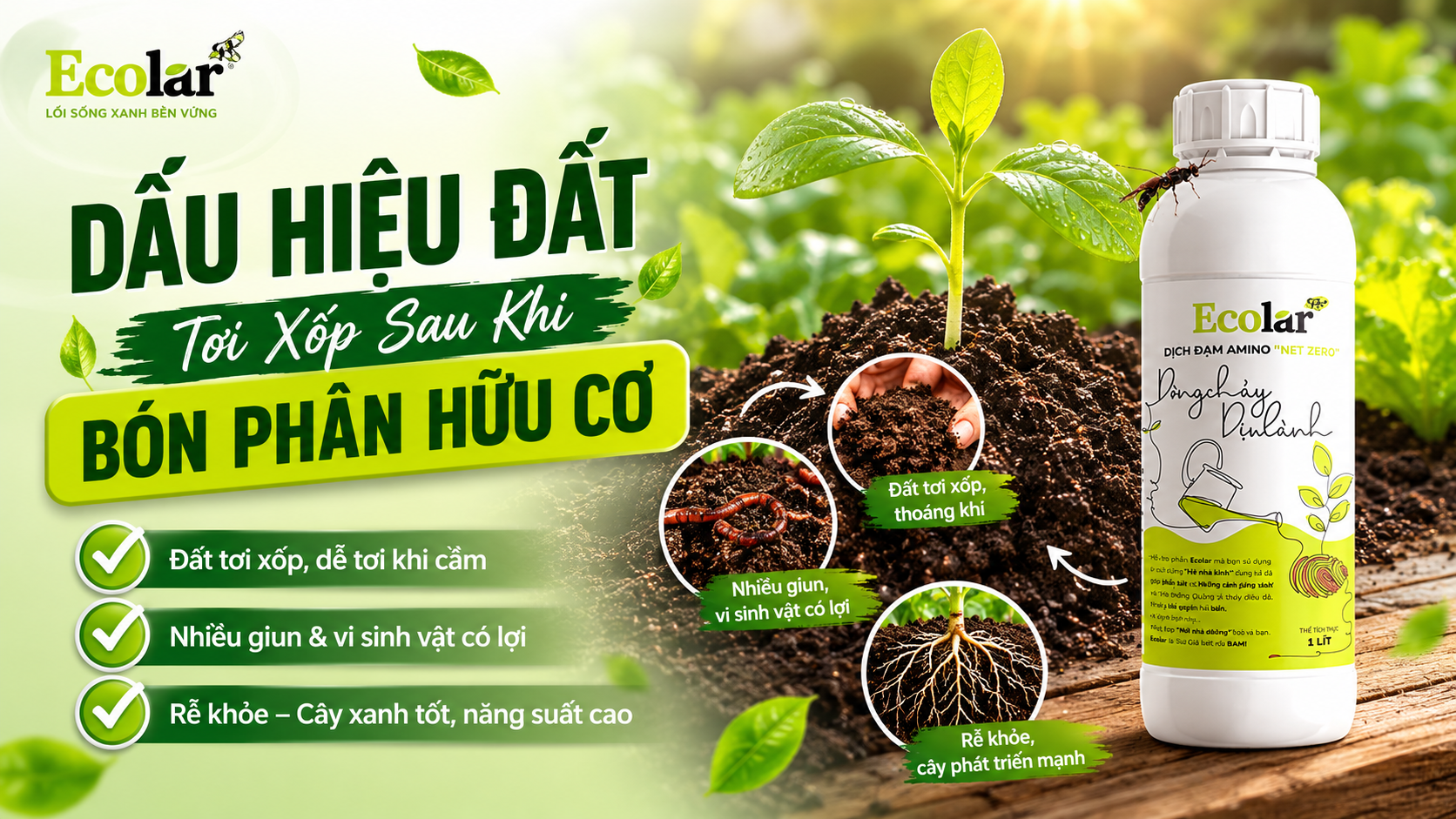 7 Dấu Hiệu Đất Đang Phục Hồi Nhờ Phân Hữu Cơ